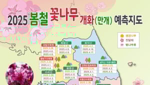 '올해 봄꽃, 작년보다 늦어 핀다'