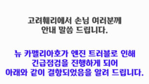 부산~후쿠오카 카페리