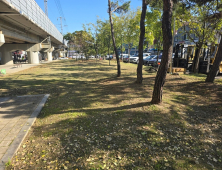 대전시, 산림청 정원드림 프로젝트 3년 연속 선정