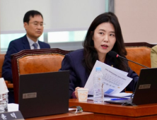 “게임 질병코드 그대로 등재해야” 통계청 주장…강유정 “대국민 사기극”