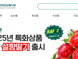 농수산물 온라인도매시장 급성장...전년比 14배↑