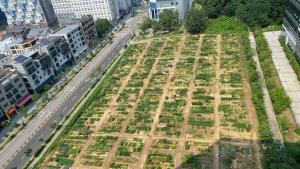 구리시, 유휴지 활용한 도시농부 체험텃밭 무료 분양