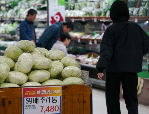 ‘금무·금배추’ 노지채소 가격 고공행진...정부, 수입 등 공급확대 안간힘