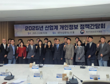 플랫폼사들 “개인정보 해외유출 대비…AI 가이드 접근성 개선해야”