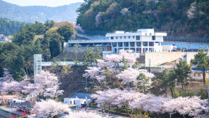 '남해 봄꽃의 정취' 꽃 피는 남해에서 만끽하세요...체험 행사 공연 한가득