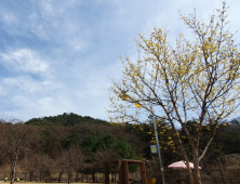 원주시 반려견 쉼터 아름들