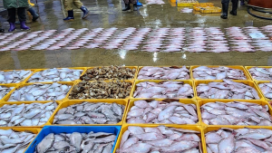 삼척시, 해수부 '수산물 상생할인 지원사업' 공모 선정