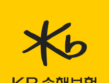 KB손해보험, 14억원 금융사고 발생…자체 감사중
