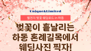 하동 화개장터 벚꽃축제, '혼례길목'에서 특별한 웨딩촬영 이벤트 선사