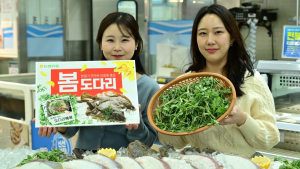 농협유통, 자연산 도다리 할인 판매
