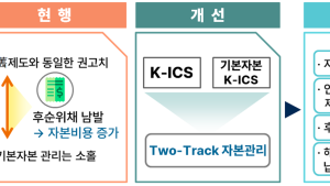 ‘후순위채 발행 제동’…보험사 자본규제 개편