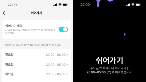 틱톡, 세이프티 페어링 기능 강화…“부모가 이용시간 조절 가능”