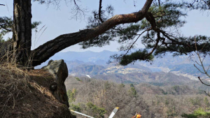 춘천 검봉산서 60대 남성 20m 아래 추락…헬기 구조