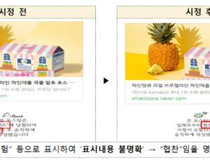 ‘돈 받고 후원 아닌척’ SNS 뒷광고 2만건 넘게 적발