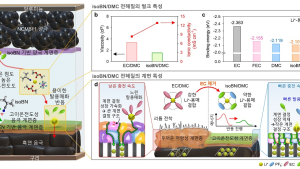 [쿠키과학] KAIST, 전기차 충전시간 단축 전해질용매 개발