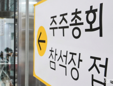 위험 최소화, 시장 최대화…주요 게임사 주총 키워드는