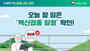 파주시, 구제역 백신 일제접종 앞당겨 실시