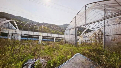 빠르게 늙어가는 농촌…영농철 '고양이 손이라도 빌릴 판'