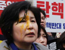 野의원들, 헌재 앞 회견 중 ‘날계란 봉변’…경찰 수사 돌입