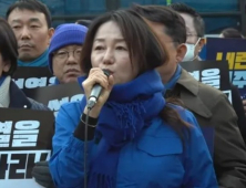 이재정 민주당 의원 “헌재 앞서 폭행당해…위험발생 가능성 커”