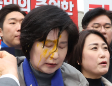 ‘尹 탄핵선고’ 임박에 커지는 폭력…여야, 여론 식혀야