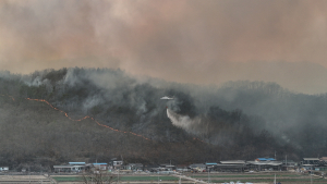 ‘산불 확산’ 울산·경상권에 재난사태 선포…범정부 차원 총력 대응