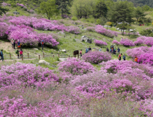 “산청황매산철쭉제 5월 1일 만나요”
