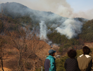 전국 곳곳 대형 산불…재난사태 선포·진화 총력전