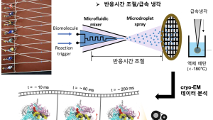 [쿠키과학] '신약개발 열쇠' 단백질구조 고해상도 포착 성공