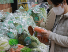 이른 설에 2월 오프라인 유통 매출 7.7%↓…온라인 16.7%↑