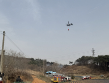 충남 당진, 건조한 날씨 속 산불 발생…“2시간 만에 진화 성공”
