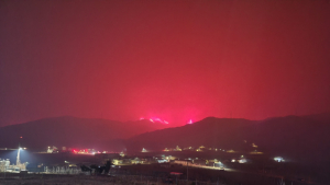 전남도, 기관 단체 산불 피해지역 긴급 지원