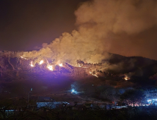 산불재난 전국 '심각' 단계 격상