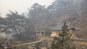 안동 만휴정 산불 이겨내고 건재...고운사는 전소