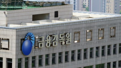 [단독] 금감원, 코인원 ‘닐리온 사태’ 들여다본다