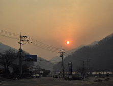 경북 산불 강원남부 태백까지 영향…연기와 타는 냄새로 가득