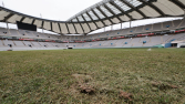 ‘최악 잔디’에 결국 정부 나선다…문체부, 국내 축구장 잔디 전수조사