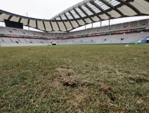 ‘최악 잔디’에 결국 정부 나선다…문체부, 국내 축구장 잔디 전수조사
