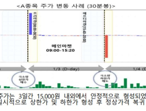 금감원 “대체거래소 프리마켓 주가 급등락, 추종매매 유의”