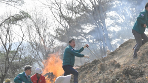 순창군, 발 빠른 대응으로 대형 산불 확산 막아