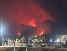 축구장 5만420개 불탔다...산불 피해지역 재난특교세 55억 추가 지원