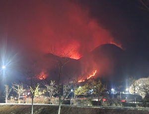축구장 5만420개 불탔다...산불 피해지역 재난특교세 55억 추가 지원