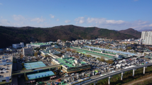 대구농수산물도매시장·유통단체, 산불 피해 농업인에 2.4억 기부