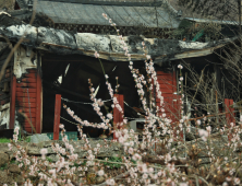 화마가 앗아간 ‘산청의 봄’