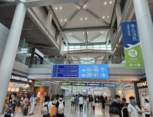 올해 하계 국제선 항공 주 4783회 운항…코로나19 이전 수준 넘어