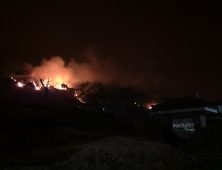 당정, 산불피해에 예비비 복원 예고…“李 발언 사실과 달라”