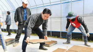 화천군, 취약농 못자리 설치 지원…초고령 시대 대안영농 주목