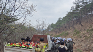 영양군, 산불 ‘완전 진화’에 사력…인력·장비 총 동원