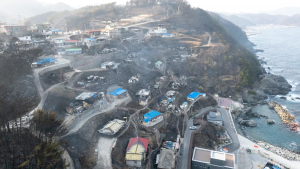 영덕군, 산불 피해 복구 ‘박차’