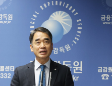 MBK 책임론 커지나…금감원 “홈플 해명 다른 정황 발견, 회계위반 감리”